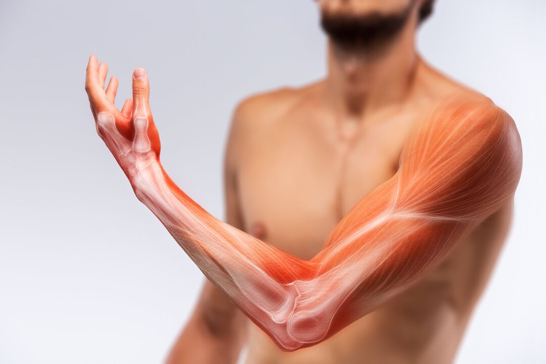 Músculos da mão e seu tratamento com Congelum Gel Tratation
